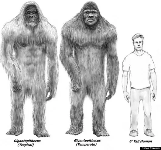 Có nhiều nhân chứng nhìn thấy Bigfoot ở đây