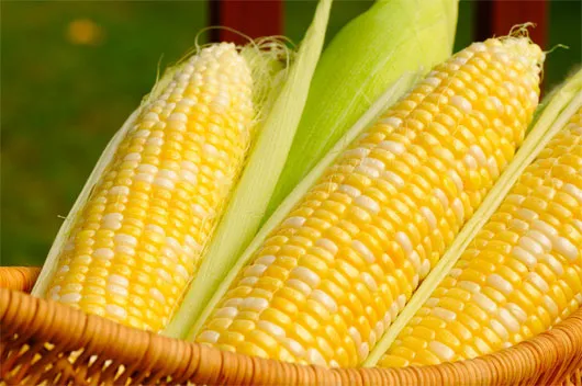 Lý do ăn ngô tốt cho sức khỏe