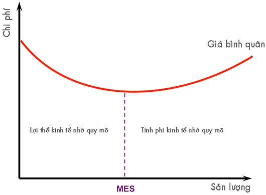 Sơ đồ tương quan giữa sản lượng và chi phí trong khái niệm Lợi thế kinh tế nhờ quy mô