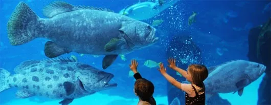 Thủy cung Ushaka Marine World, Nam Phi
