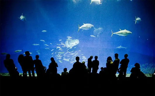 Thủy cung Tây Australia