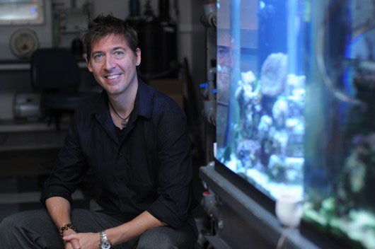 Giáo sư David Kisailus trưởng nhóm nghiên cứu tại Đại học California