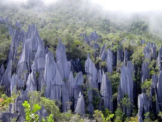 Các chóp đá ở vườn quốc gia Gunung Mulu