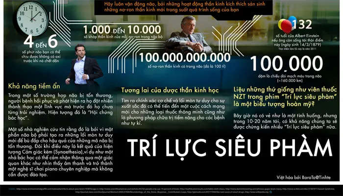 Chúng ta sử dụng não bộ như thế nào?