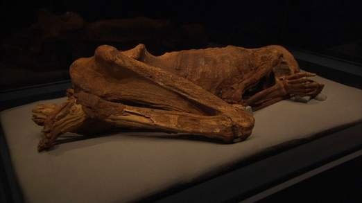 Giải mã xác ướp Ai Cập nhờ máy chụp cắt lớp CT mới