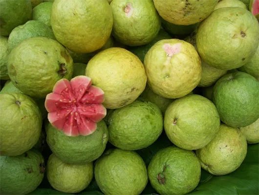 Ổi - bổ sung năng lượng cho tế bào da