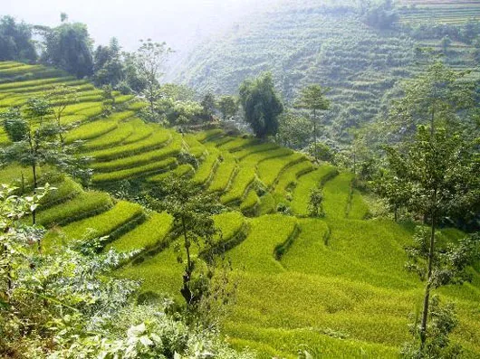 Một góc Sa Pa mộng mơ