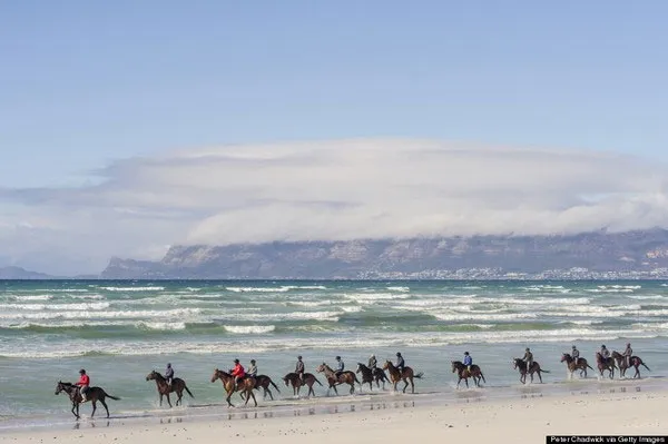 Những chú ngựa thong dong dạo bước trên bãi biển Strandfontein, Cape Town, Nam Phi.