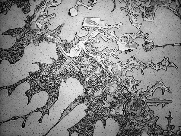 Đây là công trình mang tên The Topography of Tears của nhiếp ảnh gia Mỹ Rose-Lynn Fisher.