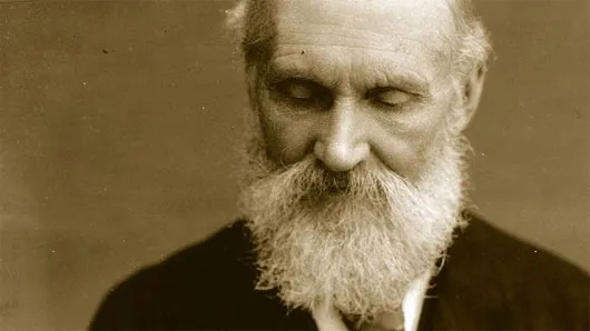 James Clerk Maxwell (1831-1879) cha đẻ của thuyết sóng điện từ.