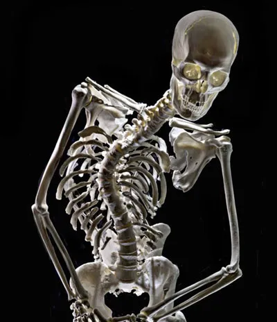Ảnh chụp X-quang và dựng mô hình 3D của hài cốt vua Richard III