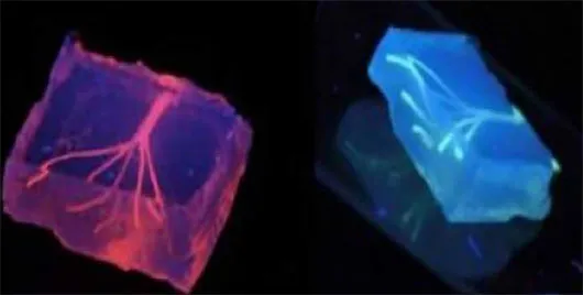 In mạch máu người bằng máy in 3D