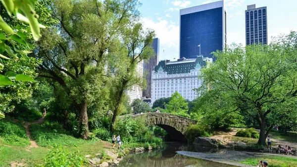 Central Park, New York