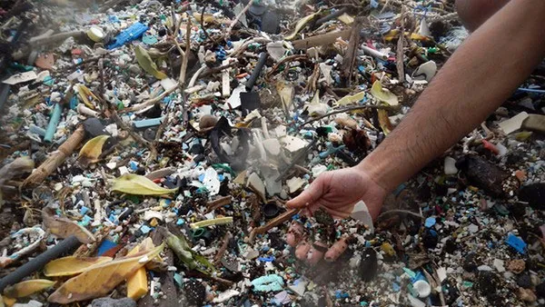Số lượng đá plastiglomerate đang tăng rất nhanh