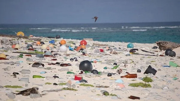 Số lượng đá plastiglomerate đang tăng rất nhanh