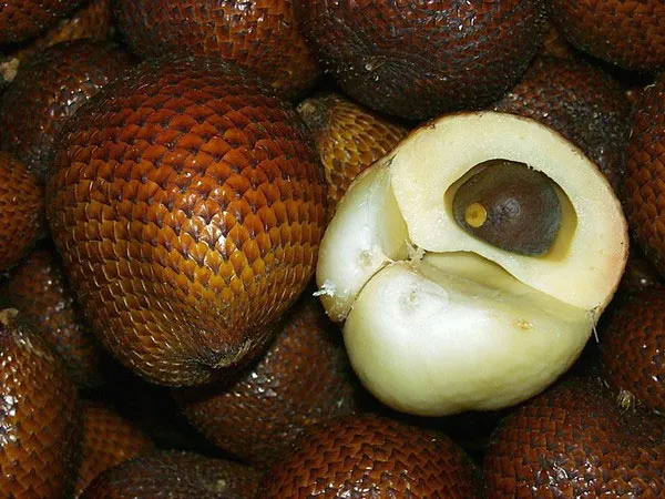 Quả da rắn (hay Salak)