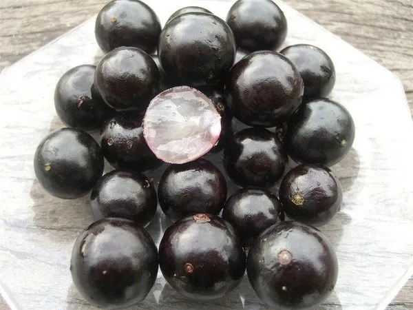 Quả Jabuticaba