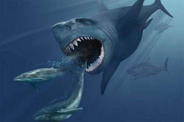 Megalodon, như chúng ta biết, là một quái vật khổng lồ.