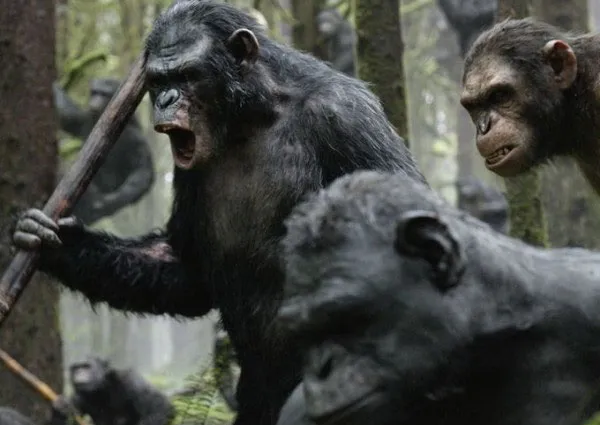 Trong bộ phim "Dawn of the Planet of the Apes", con tinh tinh đột biến có tên Caesar có thể nói bằng tiếng Anh