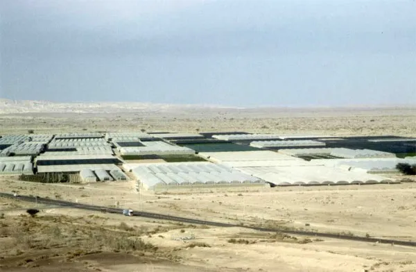 Trang trại tại sa mạc Arava