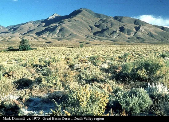 Sa mạc Great Basin