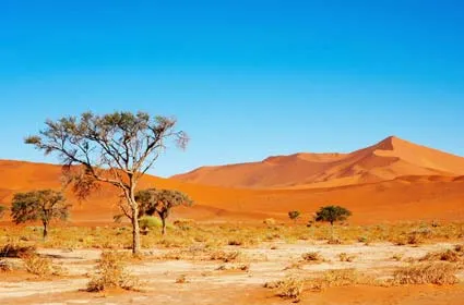 Sa mạc Kalahari