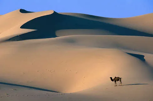 Sa mạc Gobi
