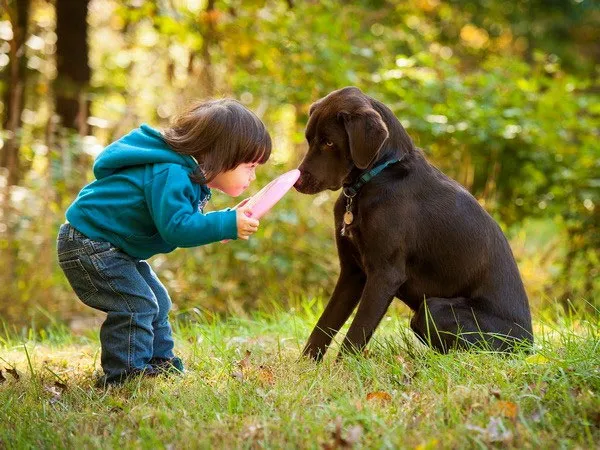 Phát hiện thú vị: Loài chó cũng biết ghen giống con người