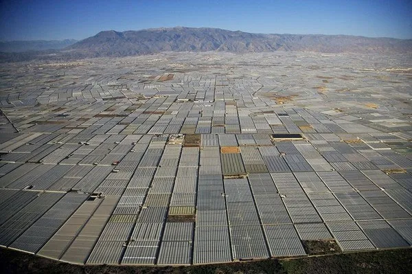 Tổ hợp nhà kính Almeria