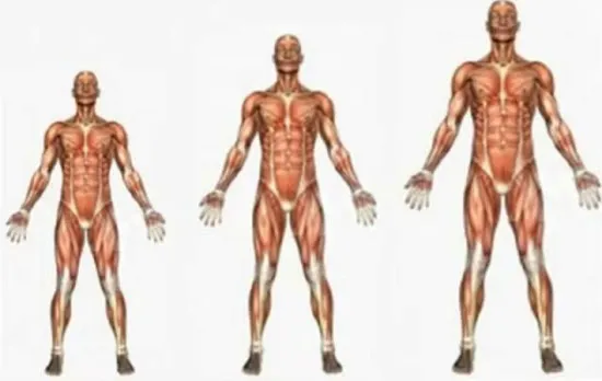 Tỷ lệ tăng chiều cao trung bình được ghi nhận ở nhiều quốc gia phát triển trên thế giới