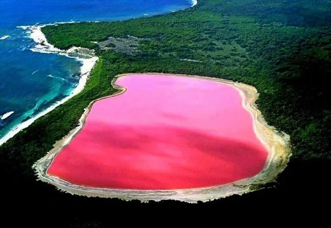 Hồ Hillier, tọa lạc tại hòn đảo Middle Island ở phía tây Australia, nổi tiếng bởi sắc nước hồ có hồng rực rỡ quanh năm.