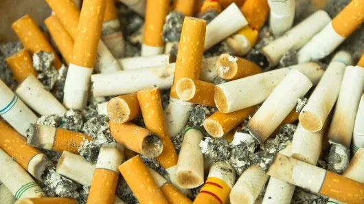 Mỗi năm có hơn 700 nghìn tấn rác thải từ đầu lọc, tàn thuốc lá được bỏ ra môi trường.