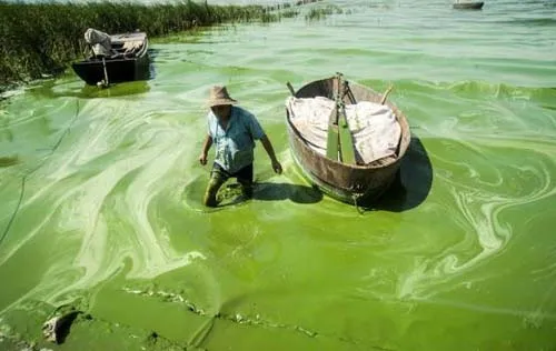 Chất lượng nước là một trong những vấn đề môi trường đáng báo động ở Trung Quốc