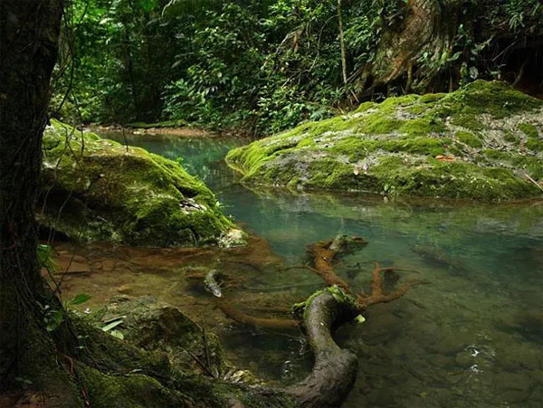 Nằm sâu trong rừng rậm Belize ở trung Mỹ là một hang động có tên Actun Tunichil Muknal hay còn gọi là ATM chứa nhiều xương người hơn 100 tuổi.