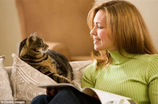Mèo có thể phân biệt giọng nói của chủ nhân với những người khác, nghĩa là chúng hoàn toàn có thể chú ý lắng nghe nếu người nuôi thử bắt chuyện