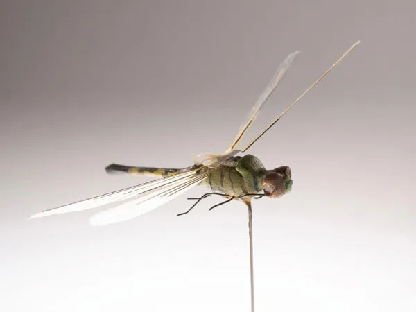Dragonfly Insectothopter