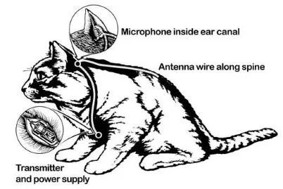 Project Acoustic Kitty