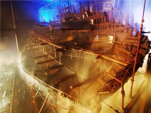 HMS Mary Rose là chiến hạm của Hải quân Hoàng gia Anh. Xác tàu được phát hiện vào năm 1971, sau hơn 4 thế kỷ bị đánh chìm ở eo biển Solent.