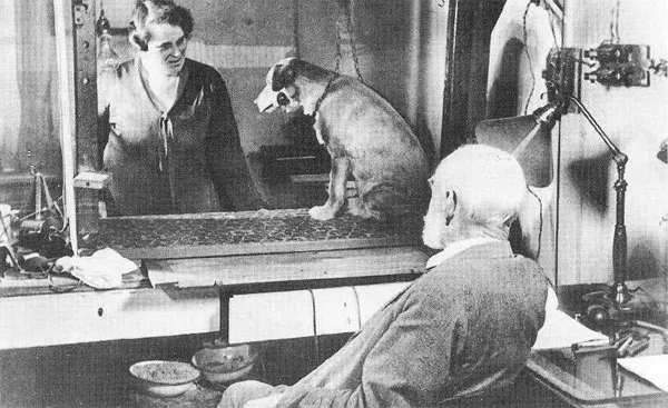 Ông Pavlov đã tìm ra định luật "phản xạ có điều kiện" nhờ nghiên cứu chức năng hoạt động dạ dày của những chú chó.