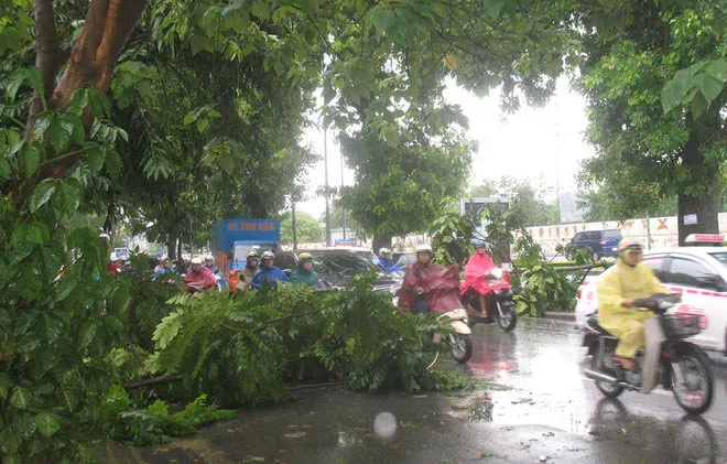 Hà Nội không bị ảnh hưởng nhiều bởi bão, lượng mưa khoảng 60-100mm, gió cấp 4. Không có tuyến đường nào bị úng ngập nặng.