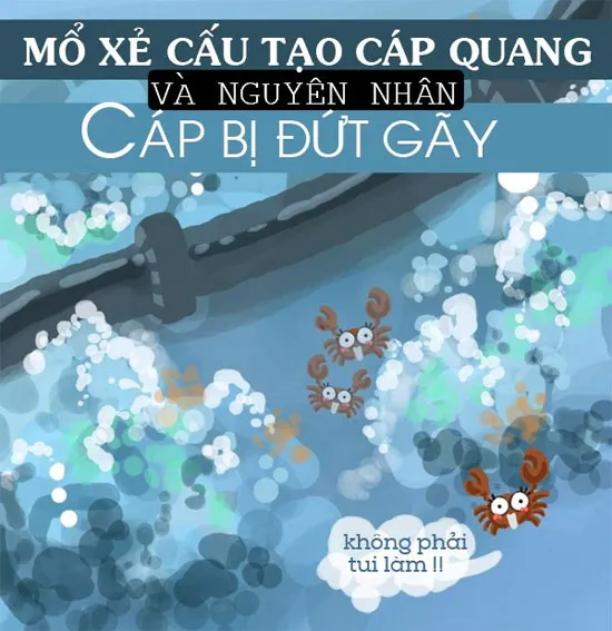 Tìm hiểu nguyên nhân khiến cáp quang "hơi tí" là đứt