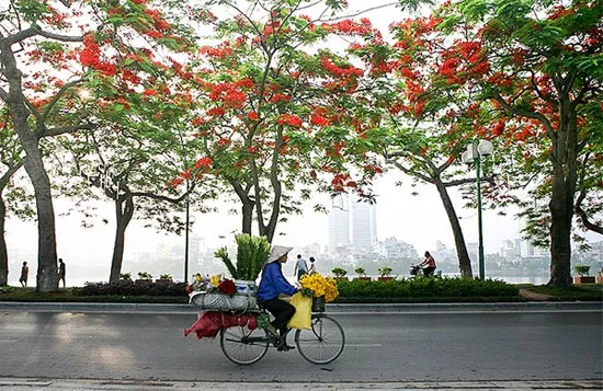 Những gánh hàng rong - hình ảnh quá thân quen với những người Hà Nội