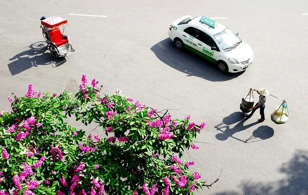 Giữa dòng xe tấp nập, hối hả ta vẫn thấy các mẹ các chị đôi gánh trên vai cần mẫn