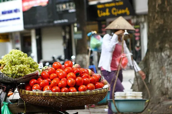 …với đủ loại hoa trái từ mọi vùng quê
