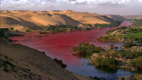 Thủy triều đỏ là giả thuyết hợp lý nhất cho việc sông Nile "nhuộm máu" và bốc mùi.