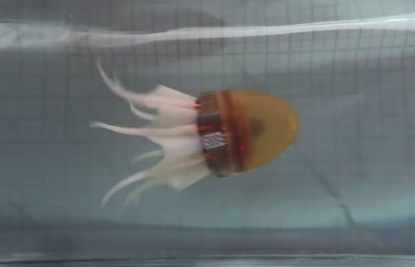 Chế tạo robot có thể di chuyển giống bạch tuộc