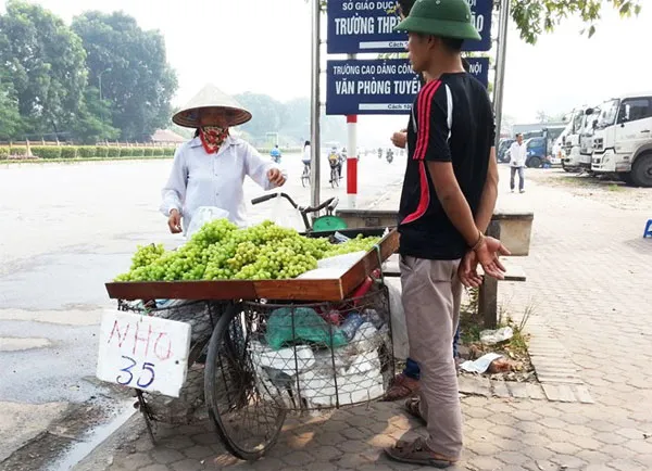 Nho xanh giá 35.000 đồng/kg được người bán quảng cáo là nho Ninh Thuận.