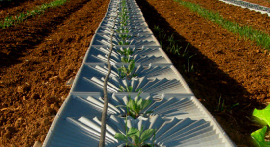 Hình: công nghệ tưới nước từ không khí