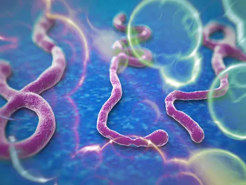 Gene có thể là nhân tố quyết định trong cuộc chiến chống Ebola