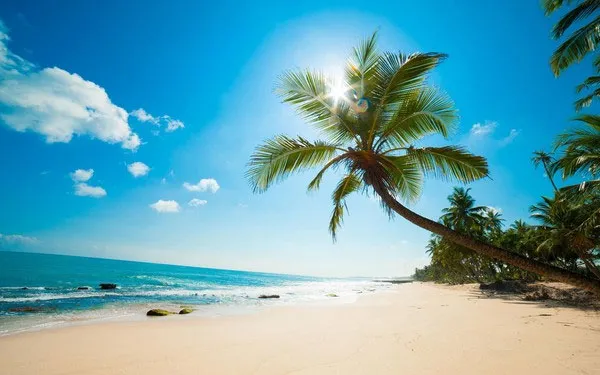 Caribbean = mùi của biển